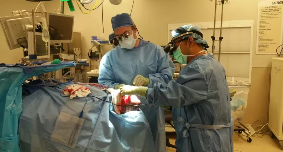 Skull Reconstruction and Cranioplasty (4)